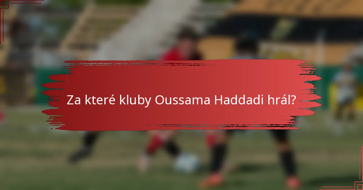 Za které kluby Oussama Haddadi hrál?